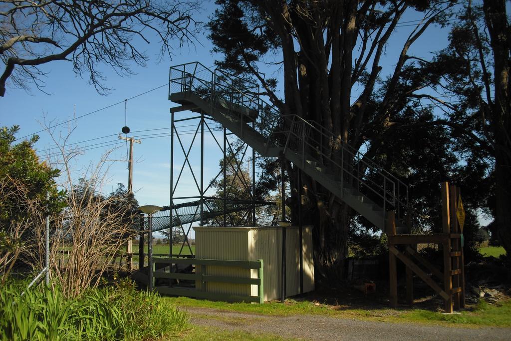Te Aroha Holiday Park And Motels Exteriér fotografie